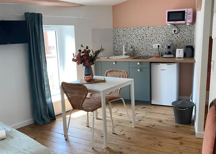 Apartment Le Carnot - Valence *